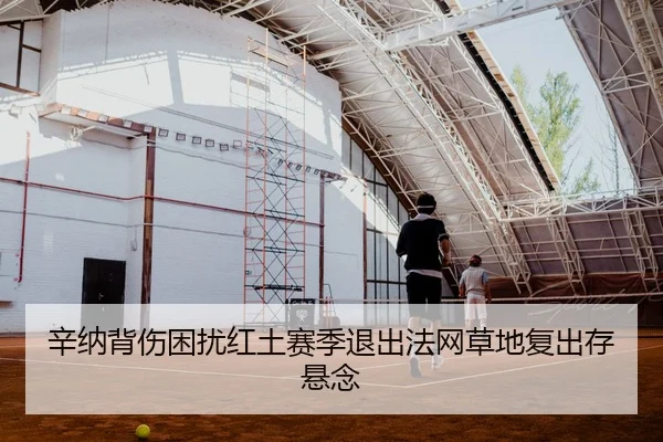 辛纳背伤困扰红土赛季退出法网草地复出存悬念