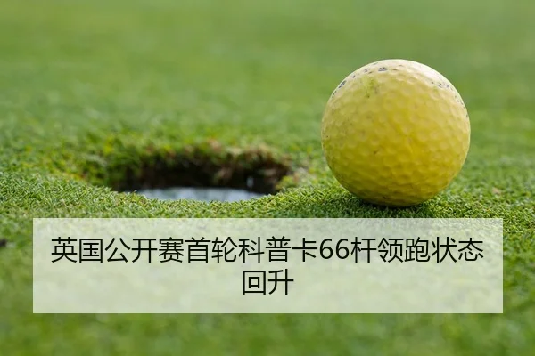 ying-guo-gong-kai-sai-shou-lun-ke-pu-ka-gan-ling-pao-zhuang-tai-hui-sheng-3-648.jpg