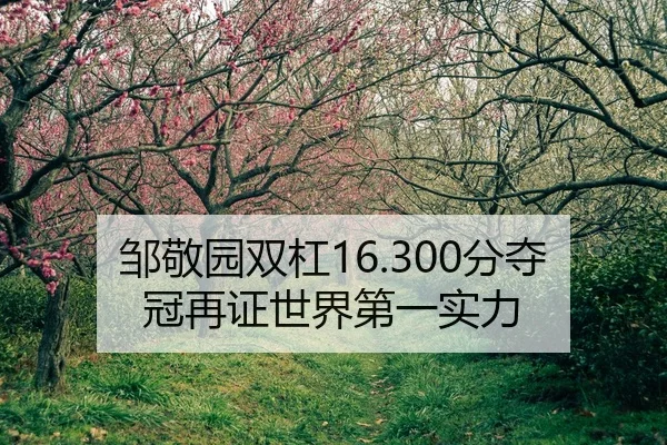 zou-jing-yuan-shuang-gang-fen-duo-guan-zai-zheng-shi-jie-di-yi-shi-li-2-903.jpg