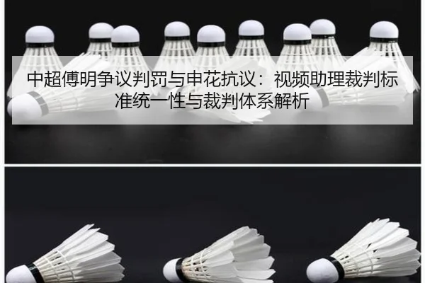 zhong-chao-fu-ming-zheng-yi-pan-fa-yu-shen-hua-kang-yi-shi-pin-zhu-li-cai-pan-biao-zhun-tong-yi-xing-yu-cai-pan-ti-xi-2-815.jpg