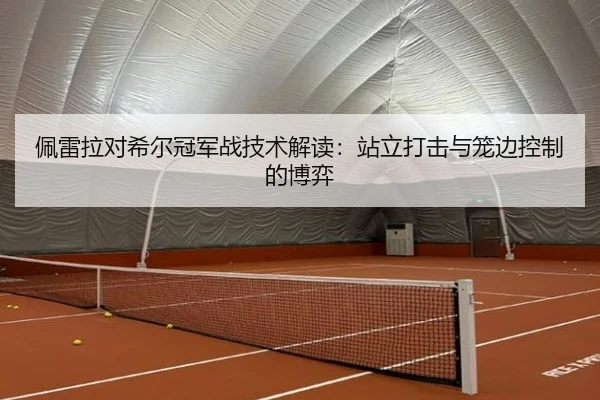 佩雷拉对希尔冠军战技术解读：站立打击与笼边控制的博弈