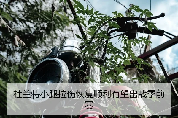 杜兰特小腿拉伤恢复顺利有望出战季前赛