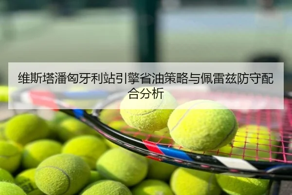 维斯塔潘匈牙利站引擎省油策略与佩雷兹防守配合分析